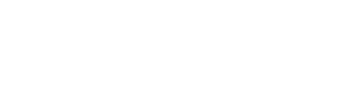Nexus
