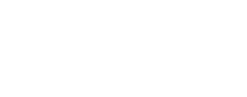VZLA & Global Advisors